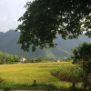 Отель Mai Chau Ecohouse - Guest House, фото 13