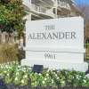 Отель The Alexander at Palm Court 205 - 1561655, фото 1