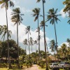 Отель Pousada Praia dos Carneiros, фото 12