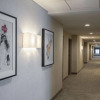 Отель Holiday Inn Cleveland Clinic, an IHG Hotel, фото 15