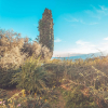 Отель Villa Paradiso, фото 18