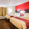 Отель Red Roof Inn Austin - Round Rock, фото 3