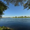 Отель Zambezi Mubala Camp, фото 12