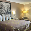 Отель Super 8 by Wyndham Indianapolis/Emerson Ave, фото 5
