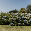 Отель Saramagoso, фото 1