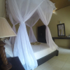 Отель La Bella Guest House, фото 2