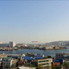 Отель FOUR SEASON GUEST HOUSE - Hostel, фото 16