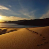 Отель Camel Track, фото 12
