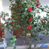 Отель Juxian Hostel, фото 7