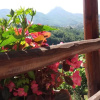 Отель Agriturismo Orrido di Pino, фото 35