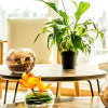 Отель Dazzling Apartment Ocean View, фото 24