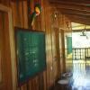 Отель Alojamiento Rio Sabalo Chocano, фото 12