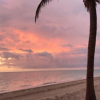 Отель Island Club Turks, фото 19