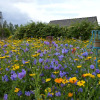 Отель Vakantiewoning De Pluktuin, фото 16
