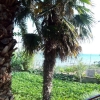 Отель Teo - 8m from the sea & parking - A3 novi(4), фото 18