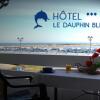 Отель Hôtel Le Dauphin Bleu, фото 14