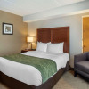 Отель Comfort Inn Shady Grove - Gaithersburg - Rockville, фото 31