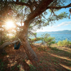 Отель Sun Spalato Hills 8, фото 18
