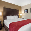 Отель Comfort Inn Baltimore East Towson, фото 6