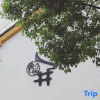 Отель Mishe Jing Leisure Garden Homestay, фото 7