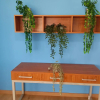 Отель Apartamentos Bon Repós, фото 13
