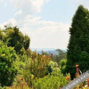 Отель The Hilton Bed And Breakfast, фото 41