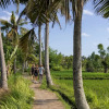 Отель Lasamana Villas Ubud by Pramana Villas, фото 10