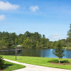Отель Staybridge Suites Tallahassee, an IHG Hotel, фото 21