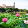 Отель Ctry Garden Phoenix Hot Spring Taizhou, фото 32