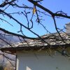 Отель House Typical Of The Susa Valley, фото 28