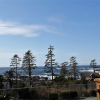 Отель Pacific Coast, фото 1