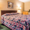 Отель Econo Lodge Inn & Suites Granite City, фото 3