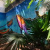 Отель The Mermaid Hostel Downtown - Adults Only, фото 7