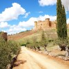 Отель Palacete Belmonte, фото 10