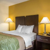 Отель Comfort Inn Jonesville, фото 5
