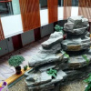 Отель Jingyuege International Hotel, фото 21