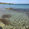 Отель Villa sul mare Rosa Marina, фото 2