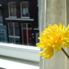 Отель Dutch Delight, фото 1