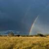 Отель Okonjima Plains Camp, фото 22