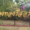 Отель Kong Tong Resort, фото 23