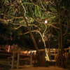 Отель Zanzibar Bandas Boutique Hotel, фото 24