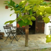 Отель Casa da Tia Luísa, фото 7