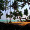 Отель The Wonder Valley Resort, фото 9