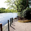 Отель The Grove Lodge Guesthouse & Country Club, фото 23