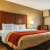 Отель Comfort Inn East, фото 45