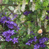 Отель Gite Kergroix en Carnac, фото 13