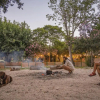Отель Camping Dafna - By Travel Hotel Chain, фото 2