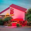 Отель Red Roof Inn PLUS+ West Springfield, фото 17