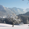 Отель Landhaus Vogler, фото 2