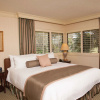 Отель Saddlebrook Golf Resort & Spa Tampa North - Wesley Chapel, фото 6